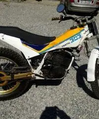 Fantic trial 303 con documenti Fantic trial 303 con documenti