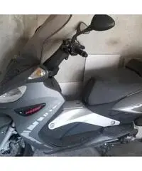 Malaguti Madison 250 RS Malaguti Madison 250 RS