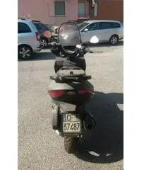 Malaguti Madison 250 RS Malaguti Madison 250 RS