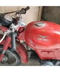 MOTO GUZZI ZIGOLO 98c.c. MOTO GUZZI ZIGOLO 98c.c.