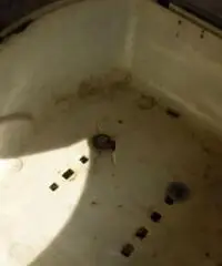 ANCILLOTTI PS tipo veicolo Scooter cc 50