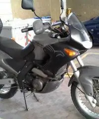 Aprilia Pegaso 650 anno 2003
