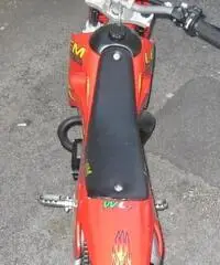 LEM MOTOR LX Cross cc 50