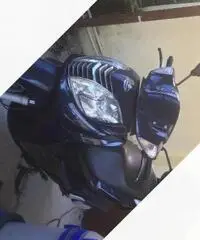 Malaguti Password 250 - 2006