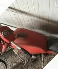 Motom Altro modello - Anni 60