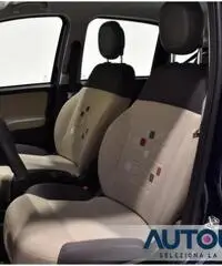 FIAT Panda 1.2 EASY NEOPATENTATI SOLO 29.000 KM