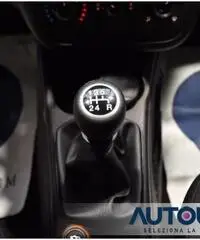 FIAT Punto 1.2 5 PORTE STREET NEOPATENTATI SOLO 23.000 KM