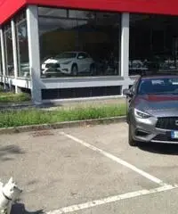 INFINITI Q30 1.5 diesel Business