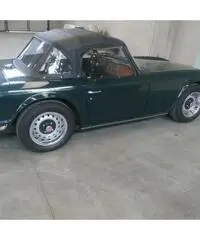 TRIUMPH TR6