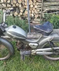 Ciclomotore Atala Turismo E3