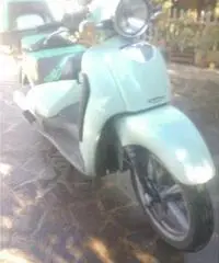 Scarabeo 150 motore rotax Scarabeo 150 motore rotax
