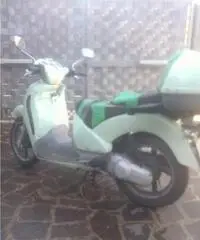 Scarabeo 150 motore rotax Scarabeo 150 motore rotax