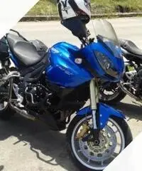 Triumph Tiger 1050 anno 2009 PERFETTA