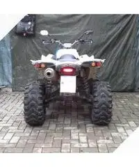 Altro Altro modello - 2011