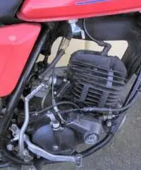 CAGIVA SXT tipo veicolo Enduro cc 125 CAGIVA SXT tipo veicolo Enduro cc 125