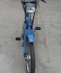 ciao piaggio px ciao piaggio px