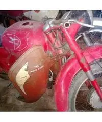 GUZZI ZIGOLO cc 125 immatricolata 1950 GUZZI ZIGOLO cc 125 immatricolata 1950