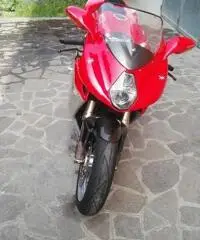 MV AGUSTA F4 1000 S 1+1 MV AGUSTA F4 1000 S 1+1