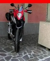 MV AGUSTA Stradale 800 rosso grigia - 0 MV AGUSTA Stradale 800 rosso grigia - 0