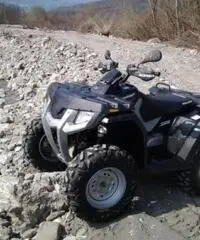 POLARIS Hawkeye tipo veicolo Altro cc 300 POLARIS Hawkeye tipo veicolo Altro cc 300