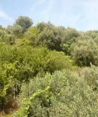 Appartamento in Vendita a 250.000 Appartamento in Vendita a 250.000