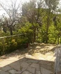 Varazze: Appartamento Bilocale Varazze: Appartamento Bilocale