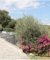 Villa a Loano