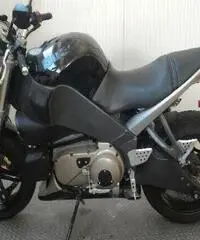BUELL Lightning XB 12S Export prices www.actionbike.it