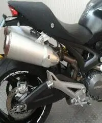 DUCATI Monster 696 www.actionbike.it - export price