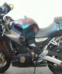 KAWASAKI Ninja 1200 ZX-12R Export price wwww.actionbike.it KAWASAKI Ninja 1200 ZX-12R Export price wwww.actionbike.it