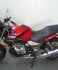 MOTO GUZZI Breva V 750 i.e. EXPORT PRICE FOR WINTER MOTO GUZZI Breva V 750 i.e. EXPORT PRICE FOR WINTER