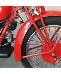 MOTO GUZZI V7 Super Alce 500