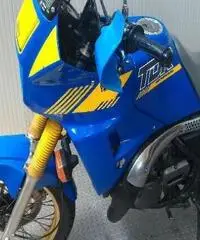 YAMAHA TDR 250 Export price www.actionbike.it