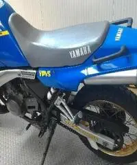 YAMAHA TDR 250 Export price www.actionbike.it