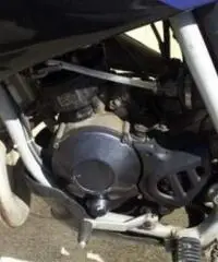 APRILIA Pegaso tipo veicolo Enduro cc 50