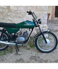 Moto Guzzi Nibbio 50 Moto Guzzi Nibbio 50
