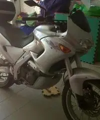 APRILIA Pegaso tipo veicolo Turismo cc 650