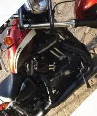 Harley-Davidson Sportster 1200 - 2013  110' Anniversary