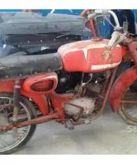 MOTOBI 50 CON LIBRETTO MOTOBI 50 CON LIBRETTO