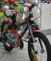 MTB DI 16 ATALA NUOVA DI FABBRICA MTB DI 16 ATALA NUOVA DI FABBRICA