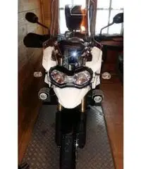 Tiger Explorer 1200 del 2015