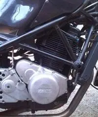 Vendo Laverda Ghost 668