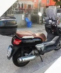 Yamaha XC 300 - 2006