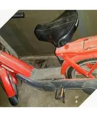 Piaggio Ciao - 1982 Piaggio Ciao - 1982