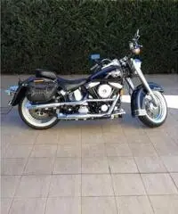 Harley davidson softail special flstn-s limited edition Harley davidson softail special flstn-s limited edition