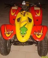 QUAD LEM motore Franco Morini 49 mod.Cayman QUAD LEM motore Franco Morini 49 mod.Cayman