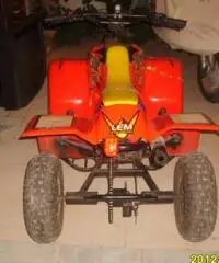 QUAD LEM motore Franco Morini 49 mod.Cayman QUAD LEM motore Franco Morini 49 mod.Cayman