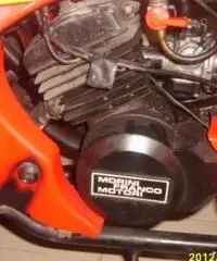 QUAD LEM motore Franco Morini 49 mod.Cayman QUAD LEM motore Franco Morini 49 mod.Cayman