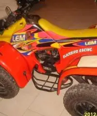 QUAD LEM motore Franco Morini 49 mod.Cayman QUAD LEM motore Franco Morini 49 mod.Cayman