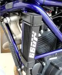 Buell X1 p38- lightnineg Edition? ESEMPLARE UNICO